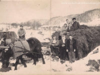 Galeria : Życie codzienne