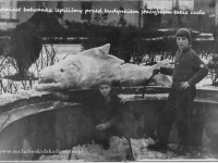 Galeria : Życie codzienne
