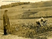 Galeria : Życie codzienne