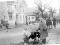 Galeria : Życie codzienne