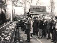 Galeria : Życie codzienne