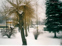 Galeria : Architektura