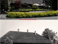 Galeria : Inne
