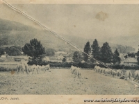 Galeria : Panoramy miasta