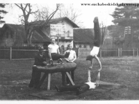 Galeria : Sport i edukacja