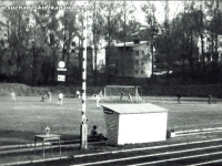 Galeria : Sport i edukacja