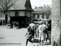 Galeria : Sport i edukacja