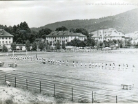 Galeria : Sport i edukacja