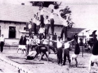 Galeria : Sport i edukacja