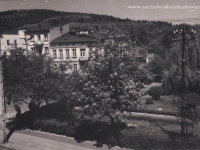 Galeria : Suski rynek