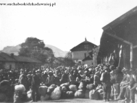 Galeria : Wojsko w Suchej