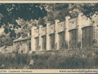 Galeria : Zamek suski