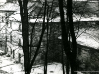 Galeria : Zamek suski