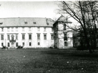 Galeria : Zamek suski