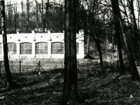 Galeria : Zamek suski
