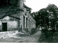 Galeria : Zamek suski