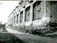Galeria : Zamek suski