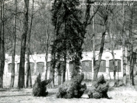 Galeria : Zamek suski