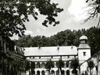 Galeria : Zamek suski