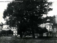 Galeria : Zamek suski