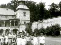 Galeria : Zamek suski