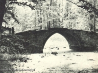 Galeria : Zamek suski